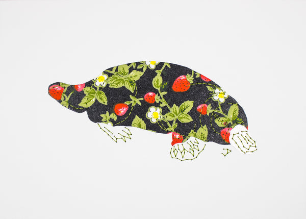 Platypus in Strawberries on Black