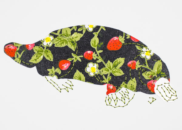 Platypus in Strawberries on Black