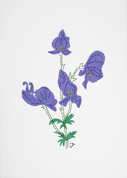 Wolfsbane in purple