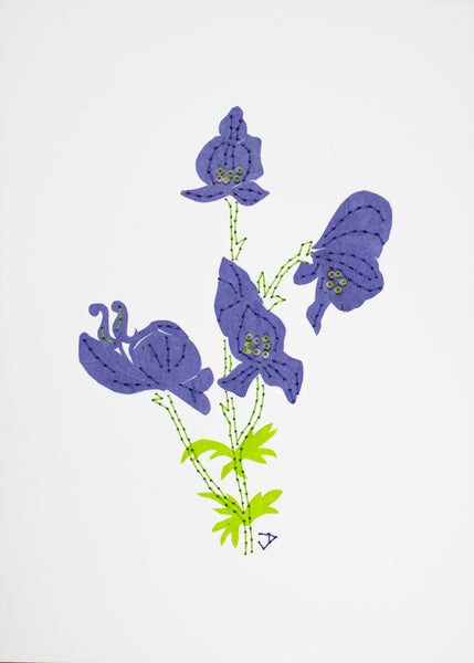 Wolfsbane in dark purple