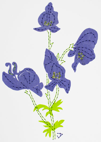 Wolfsbane in dark purple