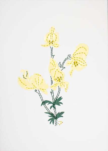 Wolfsbane in pale yellow
