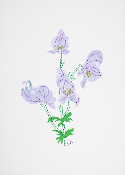 Wolfsbane in pale purple