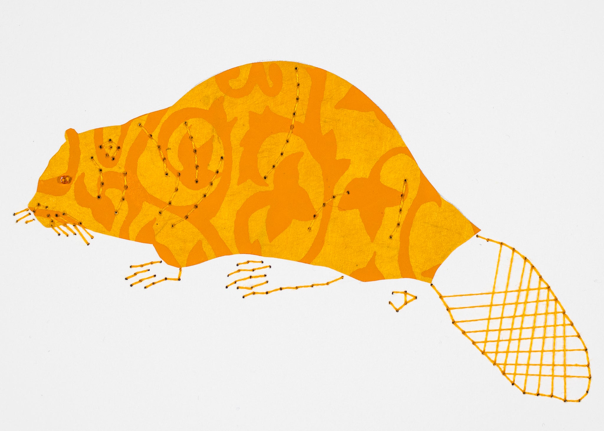Beaver in Orange