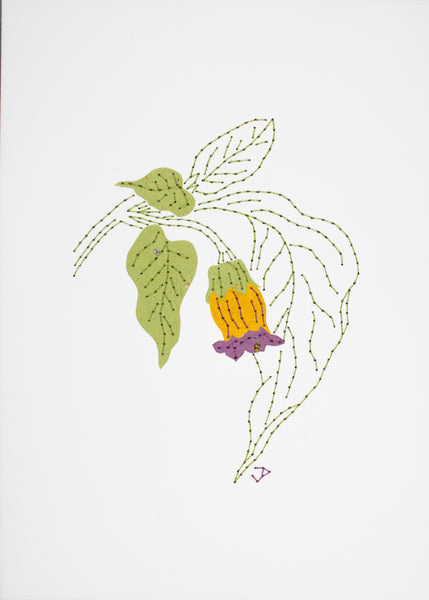Deadly nightshade in purple & yellow