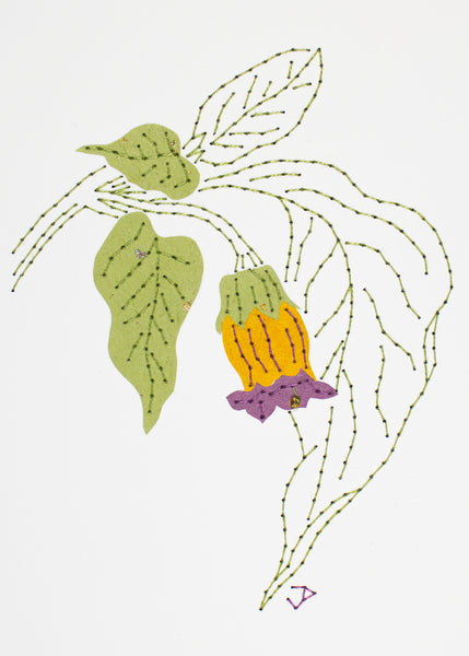 Deadly nightshade in purple & yellow