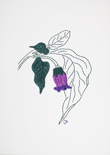 Deadly nightshade in purples
