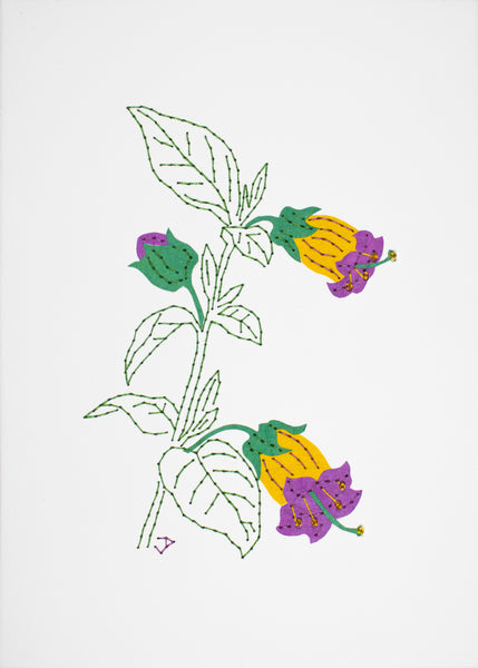 Deadly nightshade in purple & yellow