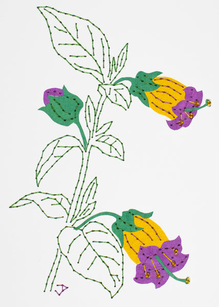 Deadly nightshade in purple & yellow