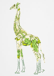 Giraffe in Florentine Greens