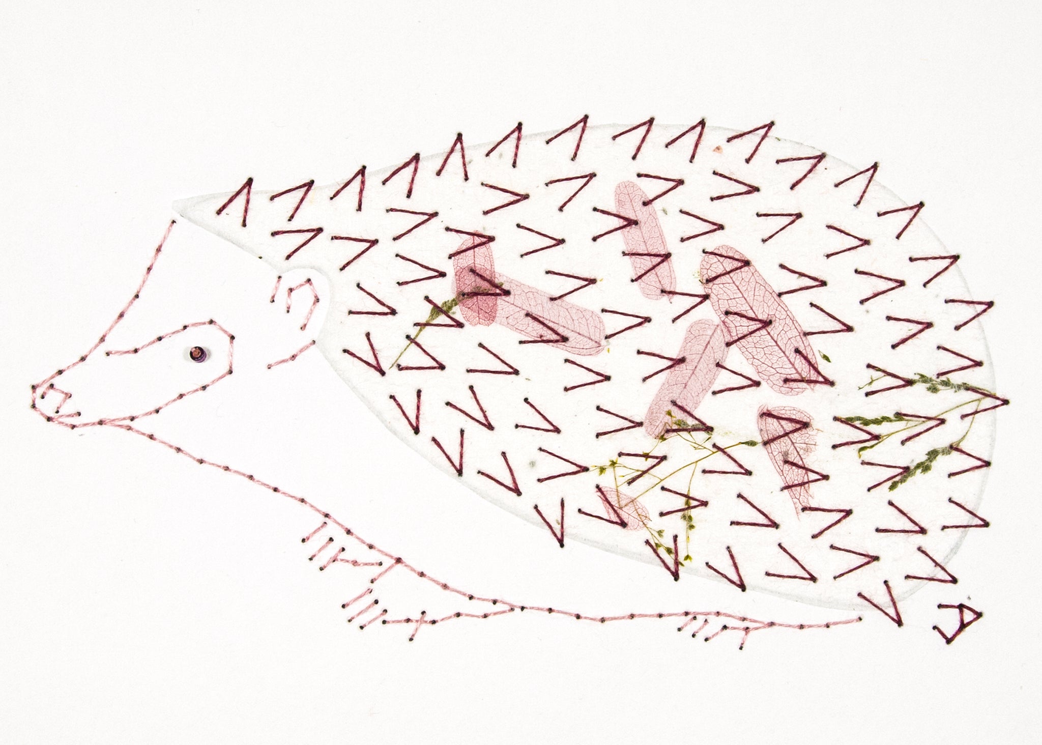 Hedgehog in Pale Wine Leaves on White