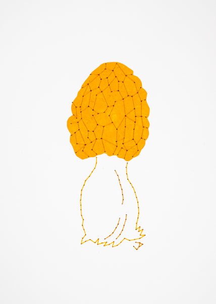 Black morel in orange