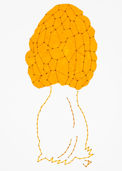 Black morel in orange