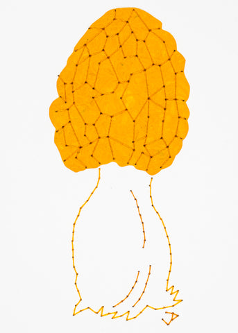 Black morel in orange