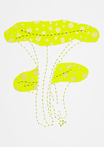 False Chanterelle in Yellow-Green & Gold
