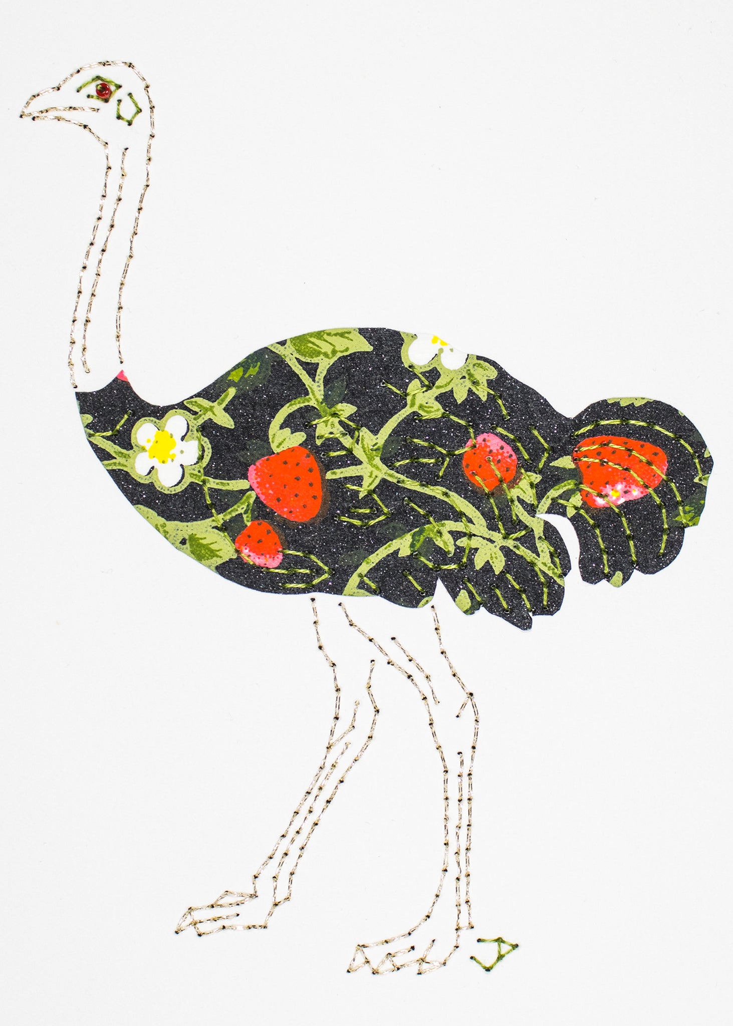 Ostrich in strawberries on black