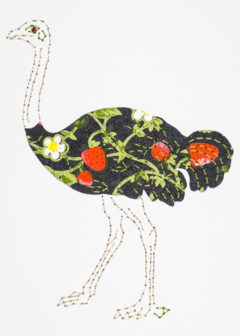 Ostrich in strawberries on black