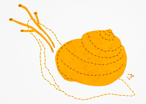 Garden Snail in Orange