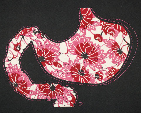 Stomach & duodenum in rose