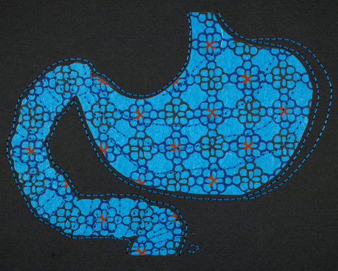 Stomach & duodenum in geometric blue