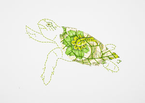 Hawksbill Turtle in Florentine Greens