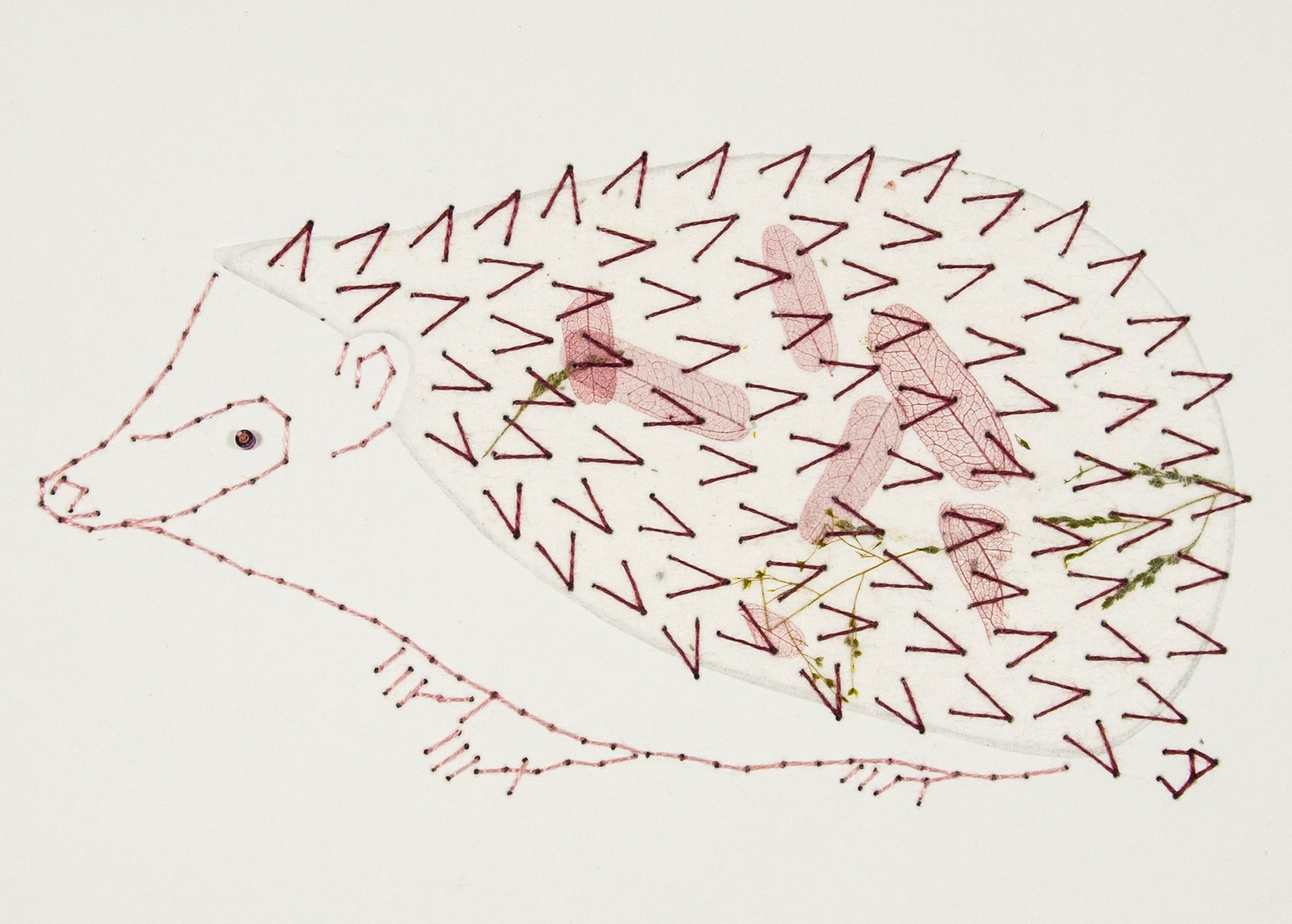 Hedgehog in Pale Wine Leaves on White