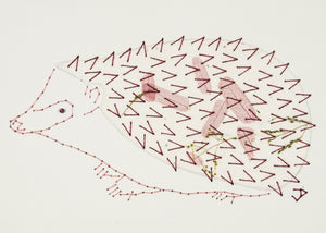 Hedgehog in Pale Wine Leaves on White