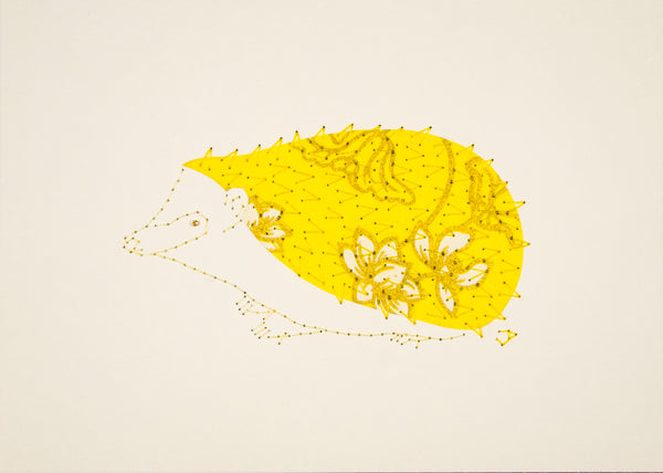 Hedgehog in Yellow & White Flowers