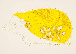 Hedgehog in Yellow & White Flowers