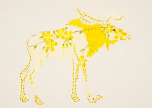 Moose in Yellow